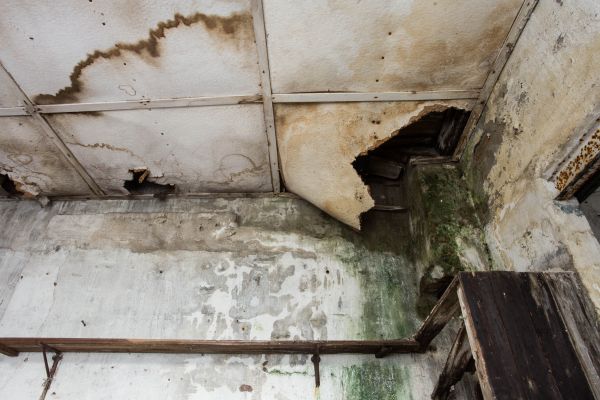 Cost of Water Damage Service in Prior Lake