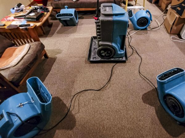 Cost of Flood Damage Recovery in Prior Lake