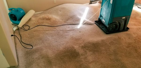 Cost of Carpet Water Extraction in Prior Lake