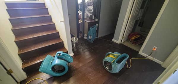 Cost of Water Damage Remediation in Prior Lake