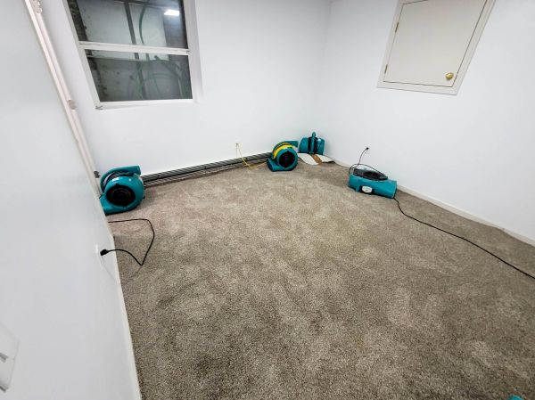 Cost of Flood Restoration Service in Prior Lake