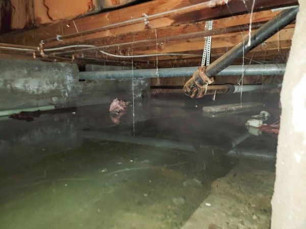 Cost of Water Mitigation Service in Prior Lake