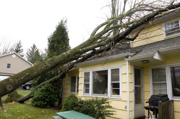 Cost of Storm Damage Mitigation in Prior Lake