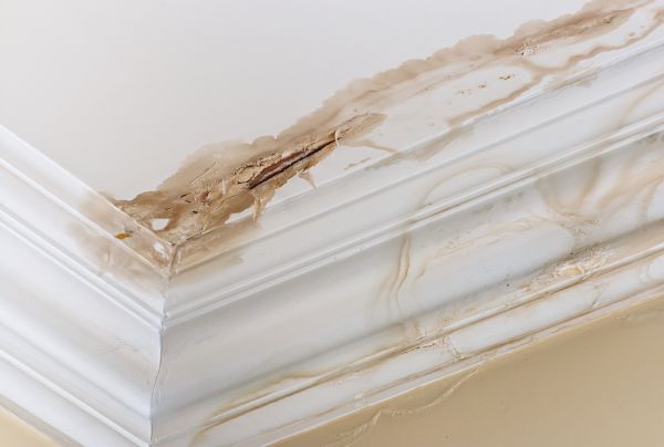 Cost of Water Damage Recovery in Prior Lake